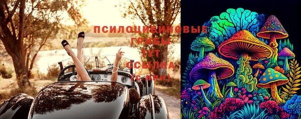 стафф Новодвинск