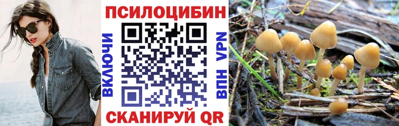 ссылка на мегу зеркало  Зерноград  Псилоцибиновые грибы Psilocybine cubensis 