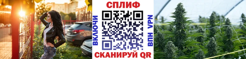 Каннабис сатива  Зерноград 